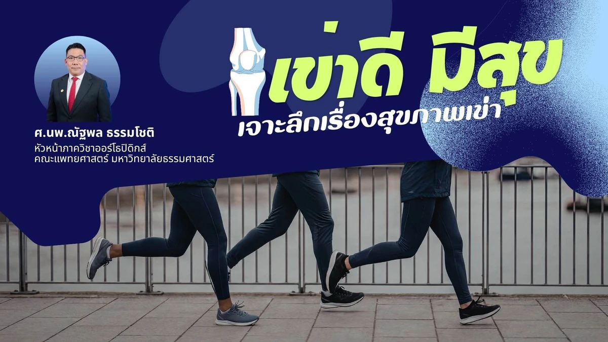 เข่าดี มีสุข: เจาะลึกเรื่องสุขภาพเข่า เข่าดี มีสุข: เจาะลึกเรื่องสุขภาพเข่า